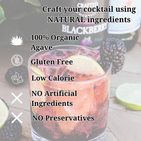 Blackberry Shrub Cocktail Enhancer Health Booster Vinegar Cocktail or Mocktail Mix Mixer