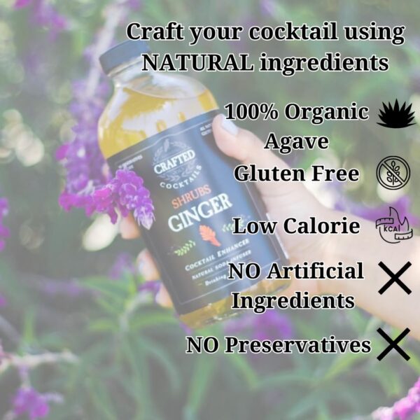 Ginger Shrub Cocktail Enhancer Health Booster Vinegar Cocktail or Mocktail Mix Mixer