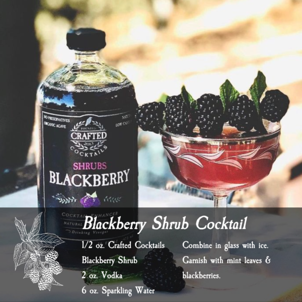 blackberry cocktail shrub